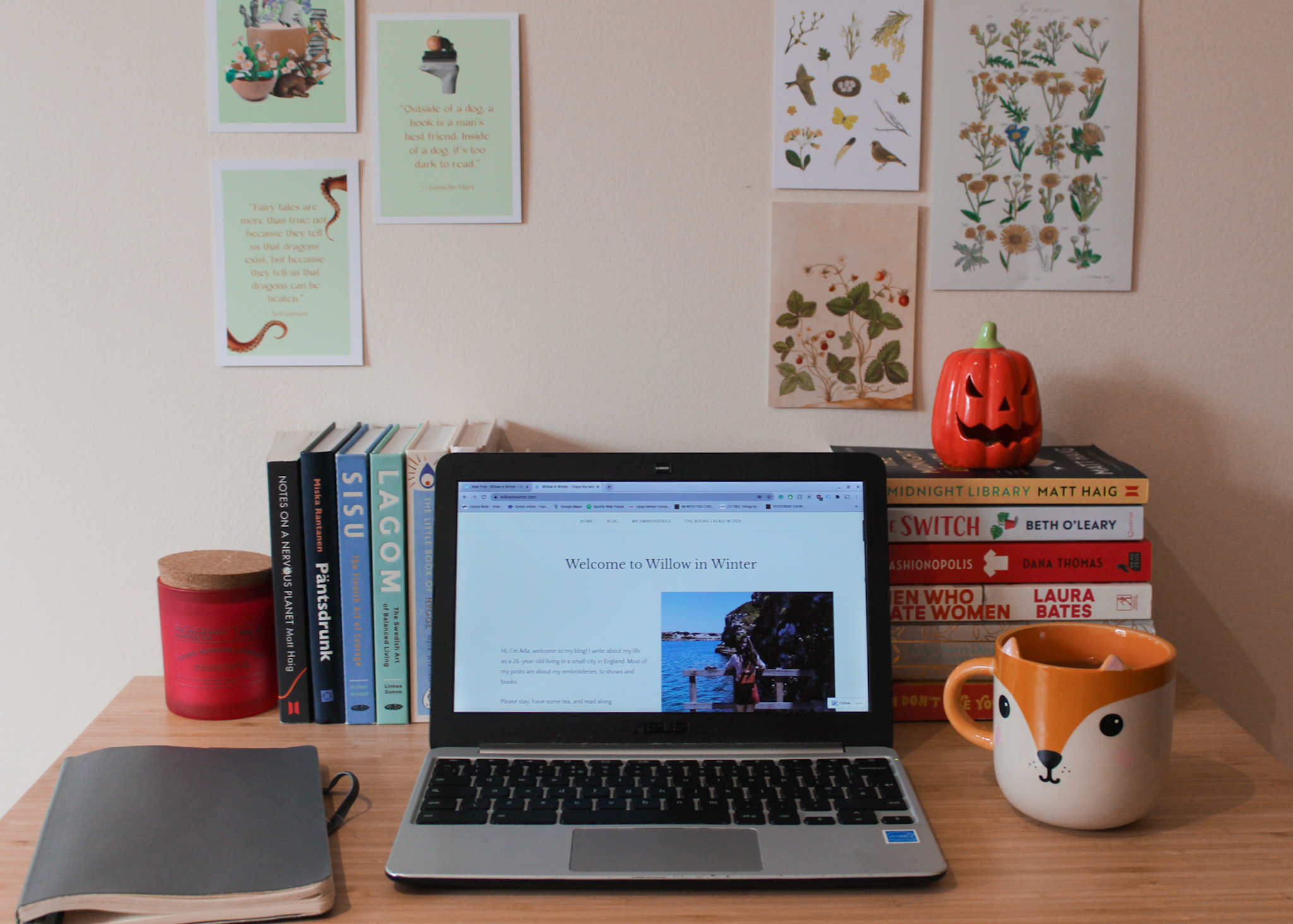 willow in winter desk