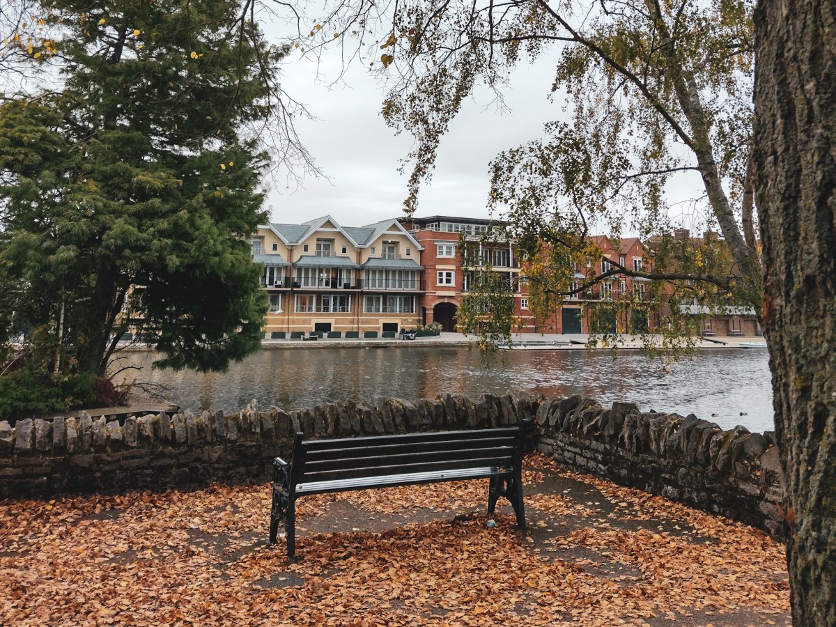 Personal entry: SAD and other&nbsp;thoughts