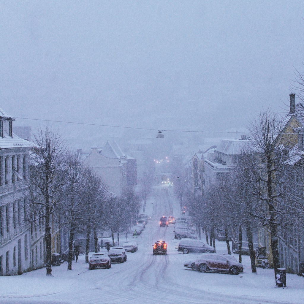 bergen in the snow