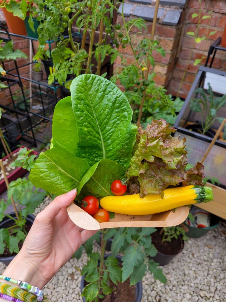 small summer harvest