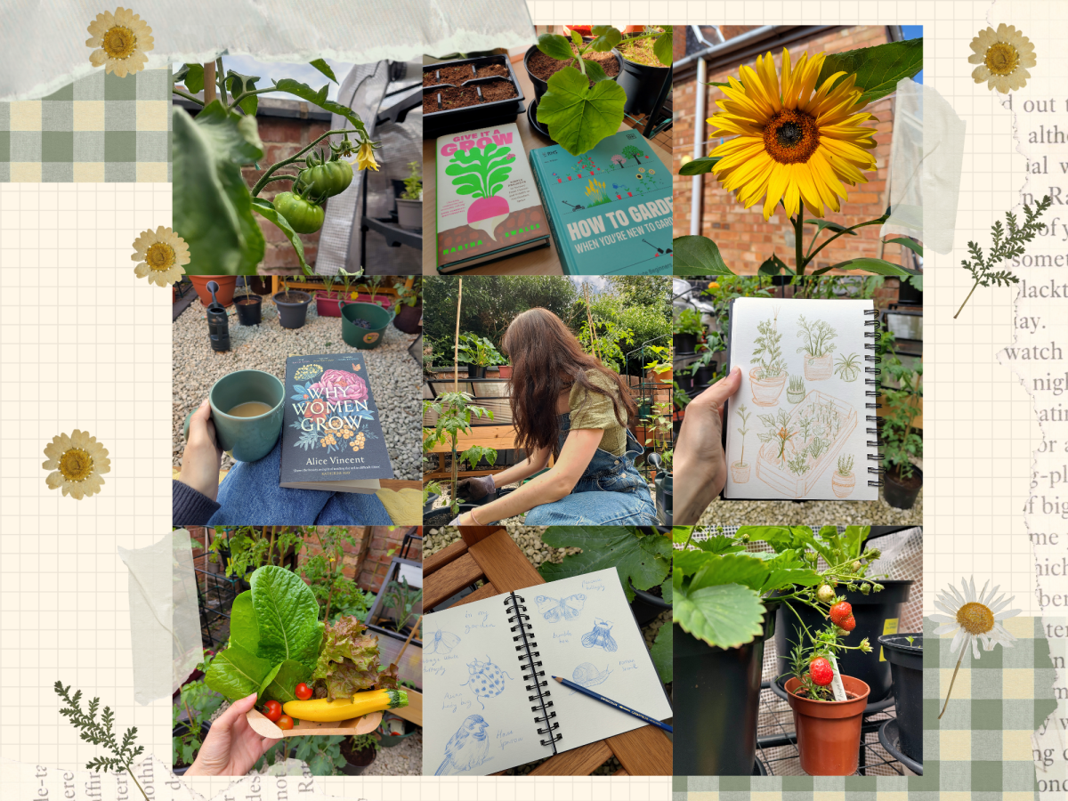 Garden diaries: my first time growing&nbsp;food