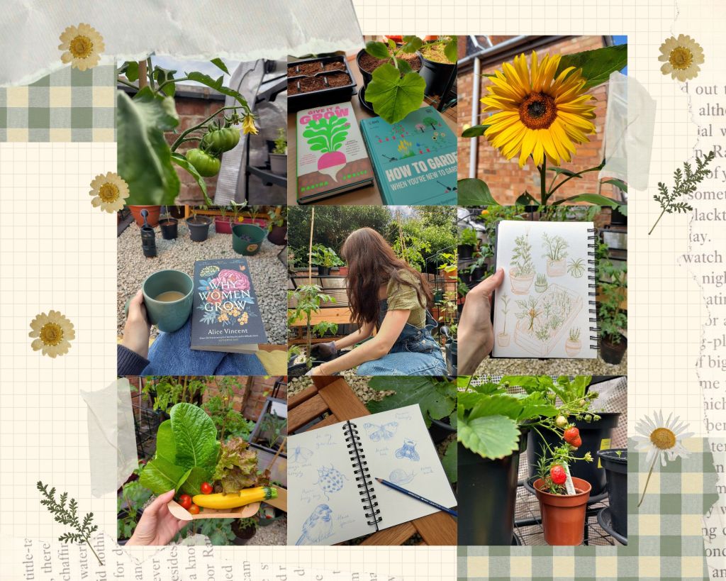 my garden diary